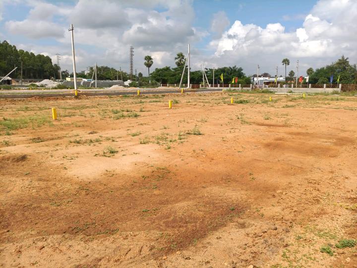 Golden City Main Image 1