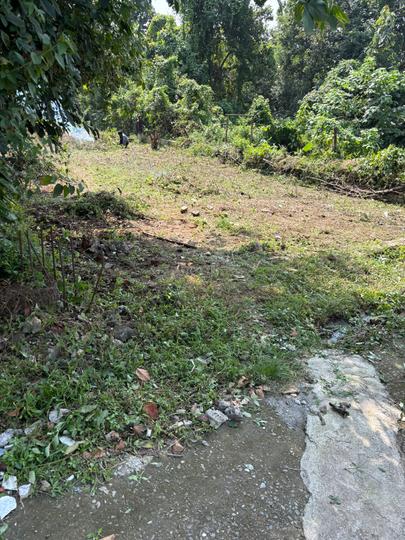 Malsi Main Image 1