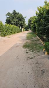 Image of 1500 Sq.ft 3 BHK Farm House for sale in Dkrrish Green Beauty Farms, Sector 135, Noida for Rs. 9000000