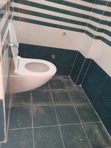Common Bathroom Image of 750 Sq.ft 1 BHK Apartment / Flat for rent in Madhapur Hyderabad for Rs. 25000