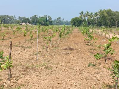 Image of 200 Sq.ft Residential Plot / Land for sale in Kothavalasa, Visakhapatnam for Rs. 1200000