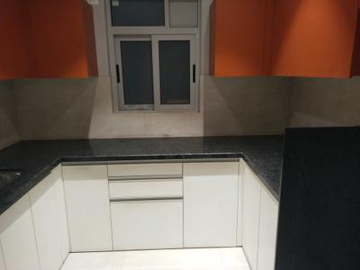 Kitchen Image of 1265 Sq.ft 3 BHK Apartment / Flat for rent in Cuffe Parade Mumbai for Rs. 300000