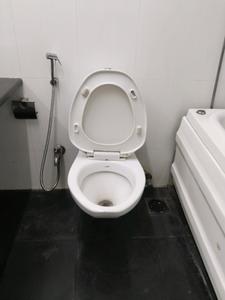 Common Bathroom Image of 2000 Sq.ft 3 BHK Apartment / Flat for sale in Santacruz West Mumbai for Rs. 100000000