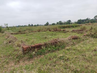 Image of 1200 Sq.ft Residential Plot / Land for sale in Siula, Bhubaneswar for Rs. 2160000