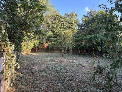 Image of 4356 Sq.ft Residential Plot / Land for sale in Velappaya, Killannur, Thrissur for Rs. 5750000