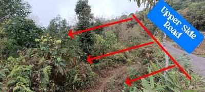Image of 9000 Sq.ft Residential Plot / Land for sale in Samalbong, Darjeeling for Rs. 990000