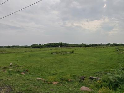 Image of 884 Sq.ft Residential Plot / Land for sale in Chengalpattu, Chennai for Rs. 1325111