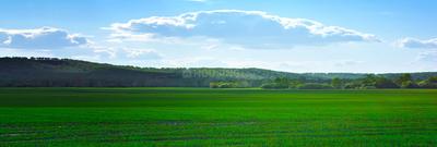 Image of 1500 Sq.ft Residential Plot / Land for sale in Brigade Oasis, Devanahalli, Bengaluru for Rs. 13500000