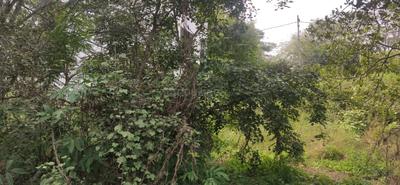 Image of 1200 Sq.ft Residential Plot / Land for sale in Vajarahalli, Bengaluru for Rs. 18000000