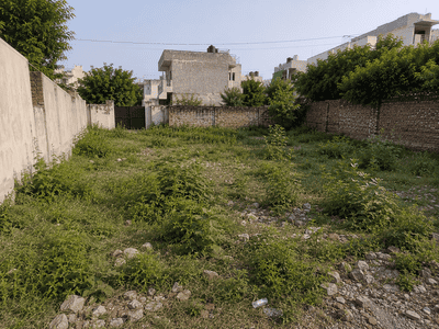 Block D Plot View 1