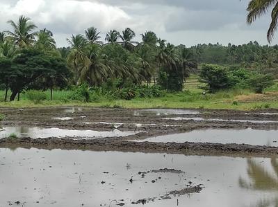 Image of 5255 Sq.ft Residential Plot / Land for sale in Naganahalli, Mysore for Rs. 5000000