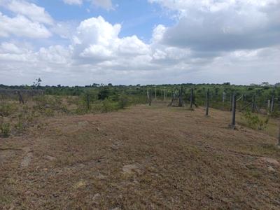 Image of 650 Sq.ft Residential Plot / Land for sale in Lohegaon, Pune for Rs. 1809000