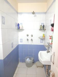 Bathroom Image of 1250 Sq.ft 3 BHK Builder Floor for rent in Sector 14 Gurgaon for Rs. 50000