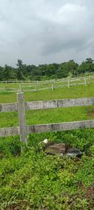 Image of 5640 Sq.ft Residential Plot / Land for sale in Done, Karjat, Thane for Rs. 6768000