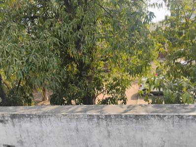 Image of 2970 Sq.ft 3 BHK Independent House for sale in Sector 23, Gandhinagar for Rs. 60000000