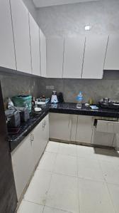 Kitchen Image of 1465 Sq.ft 2 BHK Builder Floor for rent in Sector 40 Noida for Rs. 35000