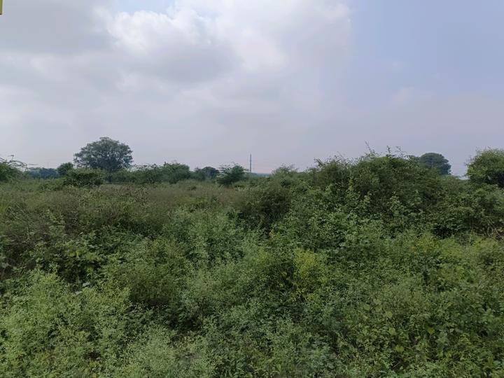 Sector 34 Rohini Main Image 1