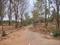 JR Coconest Prime Internal Roads 2