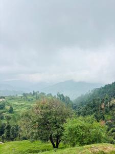 Image of 2700 Sq.ft Residential Plot / Land for sale in Bhimtal, Nainital for Rs. 3500000