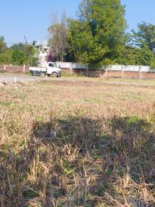 Image of 1000 Sq.ft Residential Plot / Land for sale in Neelbad, Bhopal for Rs. 1600000