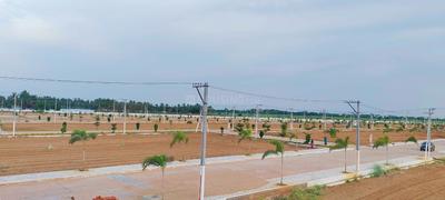 Image of 1980 Sq.ft Residential Plot / Land for sale in Allipuram, Nellore for Rs. 3025000