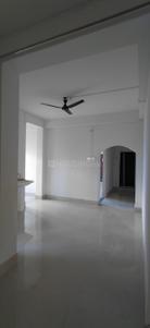 Hall Image of 650 Sq.ft 2 BHK Independent House for rent in Ketekibari Tezpur for Rs. 11000