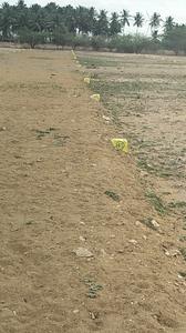 Image of 436 Sq.ft Residential Plot / Land for sale in Sulur, Coimbatore for Rs. 299000