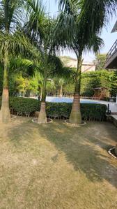 Image of 1500 Sq.ft 3 BHK Farm House for sale in Dkrrish Green Beauty Farms, Sector 135, Noida for Rs. 8500000