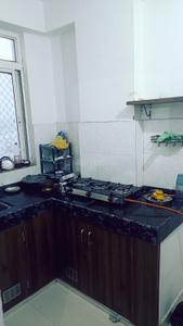 Kitchen Image of 1000 Sq.ft 2 BHK Apartment / Flat for rent in Shree Krishna Residency, Charan Singh Nagar Sikar for Rs. 16000
