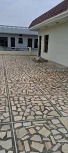 Image of 600 Sq.ft 1 BHK Builder Floor for rent in Sector 126, Mohali for Rs. 10500