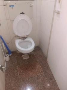 Common Bathroom Image of 555 Sq.ft 1 BHK Apartment / Flat for rent in Evershine Millennium Paradise, Kandivali East Mumbai for Rs. 36000