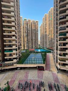 Image of 530 Sq.ft 1 BHK Apartment / Flat for rent in Gaurs 14th Avenue, Noida Extension, Greater Noida for Rs. 23000