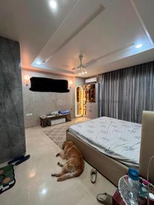 Bedroom Image of 2484 Sq.ft 4 BHK Builder Floor for sale in Sector 49 Gurgaon for Rs. 37500000