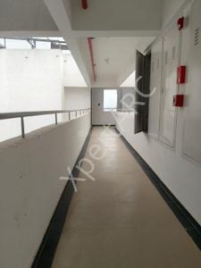 Balcony Image of 1046 Sq.ft 3 BHK Apartment / Flat for sale in Talwade Pune for Rs. 8700000