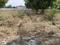 Poojan Bunglow Plot View 2