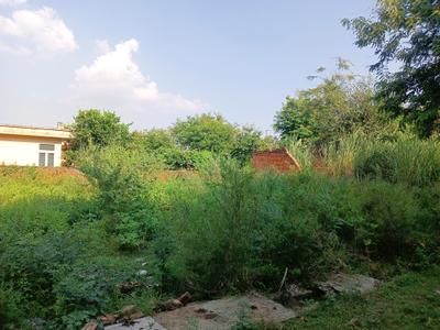Image of 504 Sq.ft Residential Plot / Land for sale in Chi III, Greater Noida for Rs. 54500000