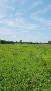 Image of 36000 Sq.ft Residential Plot / Land for sale in Nanak Heri Village, New Delhi for Rs. 100000008