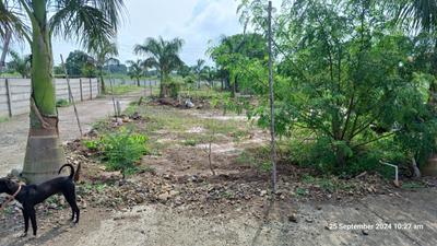 Image of 1950 Sq.ft Residential Plot / Land for sale in Theur, Pune for Rs. 2400000