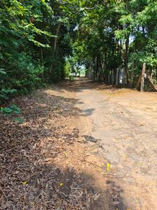 Image of 3000 Sq.ft 4 BHK Villa for sale in Santiniketan, Bolpur-Santiniketan for Rs. 13000000