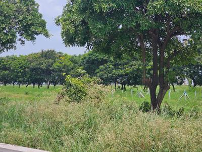 Image of 1000 Sq.ft Residential Plot / Land for sale in Mayakhedi, Indore for Rs. 4000000