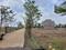 Aranya City Of Woodland Pacheda Main Image 1