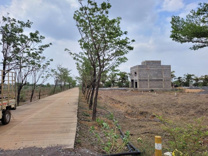 Aranya City Of Woodland Pacheda Main Image 1