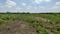 Saravanampatty Plot View 2