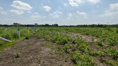 Saravanampatty Plot View 2