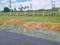 Ashthinapuram Plot View 2