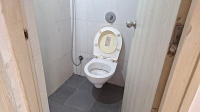 Bathroom Image of 580 Sq.ft 1 BHK Apartment / Flat for rent in Lodha Casa Rio, Palava Phase 1 Thane for Rs. 13000