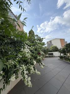 Image of 6200 Sq.ft 4.5 BHK Apartment / Flat for rent in Embassy Grove, Rustam Bagh Layout, Bengaluru for Rs. 350000