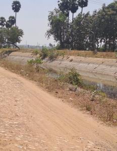 Image of 1250 Sq.ft Residential Plot / Land for sale in Kallandhiri, Madurai for Rs. 717401