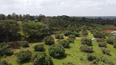 Image of 10890 Sq.ft Residential Plot / Land for sale in Denkanikottai, Krishnagiri for Rs. 9200000