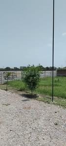 Image of 1350 Sq.ft Residential Plot / Land for sale in Jait, Vrindavan for Rs. 2550000